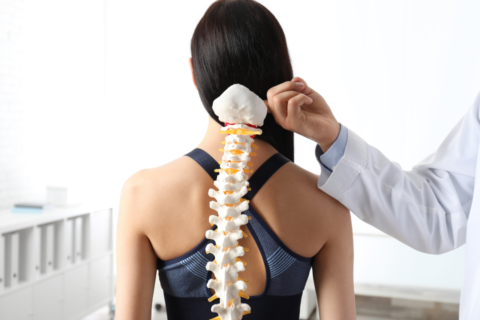 Ortopedia rachide vertebrale e scoliosi